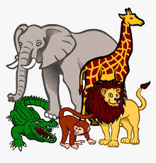 animals 